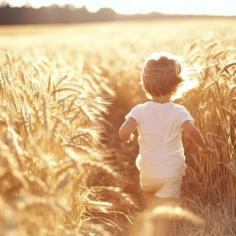 A child walking through a sunlit field