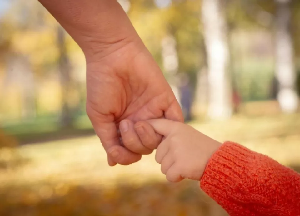 Growing Trust